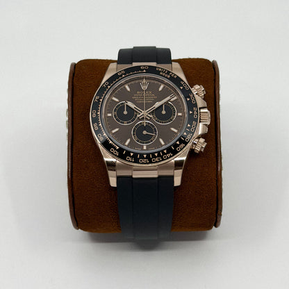 Rolex Cosmograph Daytona Everose Gold Chocolate Dial (2026)